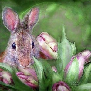 🙃Live Items # 300-320